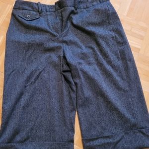 Dress Barn long shorts